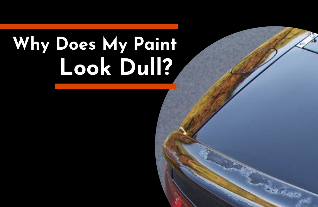 Why Does My Paint Look Dull? | TC's Mobile Detailing | Lakeland Florida | Outshine The Rest