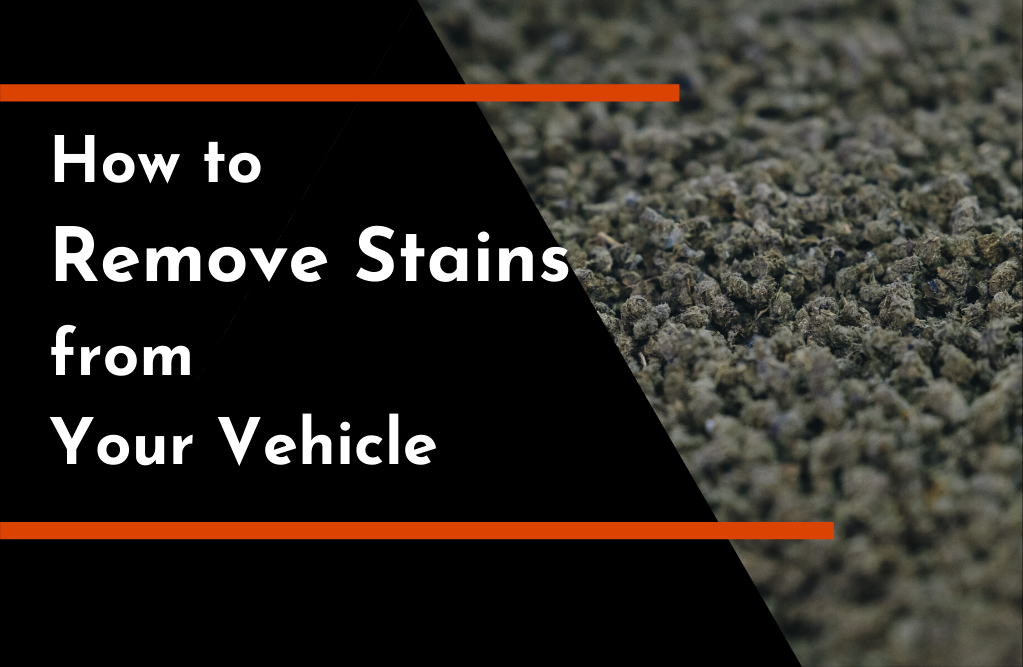 How to Remove Stains from Your Vehicle | TC's Mobile Detailing | Lakeland, FL